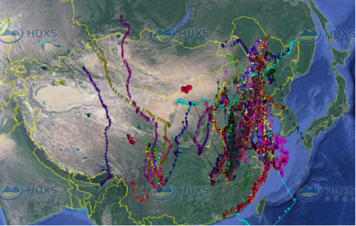 国产福利一区二区三区在线视频-538任你爽精品视频国产-亚洲精品国产乱码不卡-色噜噜国产99性色内射-做A爰片久久毛片A片的价格,湖南野生动物追踪,湖南卫星追踪器,湖南追踪器