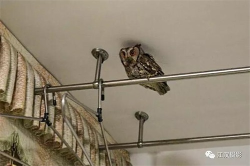 国产福利一区二区三区在线视频-538任你爽精品视频国产-亚洲精品国产乱码不卡-色噜噜国产99性色内射-做A爰片久久毛片A片的价格,湖南野生动物追踪,湖南卫星追踪器,湖南追踪器