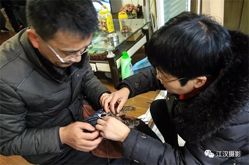 国产福利一区二区三区在线视频-538任你爽精品视频国产-亚洲精品国产乱码不卡-色噜噜国产99性色内射-做A爰片久久毛片A片的价格,湖南野生动物追踪,湖南卫星追踪器,湖南追踪器