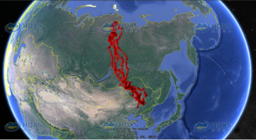 国产福利一区二区三区在线视频-538任你爽精品视频国产-亚洲精品国产乱码不卡-色噜噜国产99性色内射-做A爰片久久毛片A片的价格,湖南野生动物追踪,湖南卫星追踪器,湖南追踪器