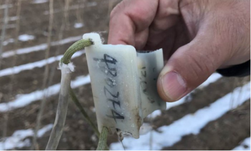 国产福利一区二区三区在线视频-538任你爽精品视频国产-亚洲精品国产乱码不卡-色噜噜国产99性色内射-做A爰片久久毛片A片的价格,湖南野生动物追踪,湖南卫星追踪器,湖南追踪器