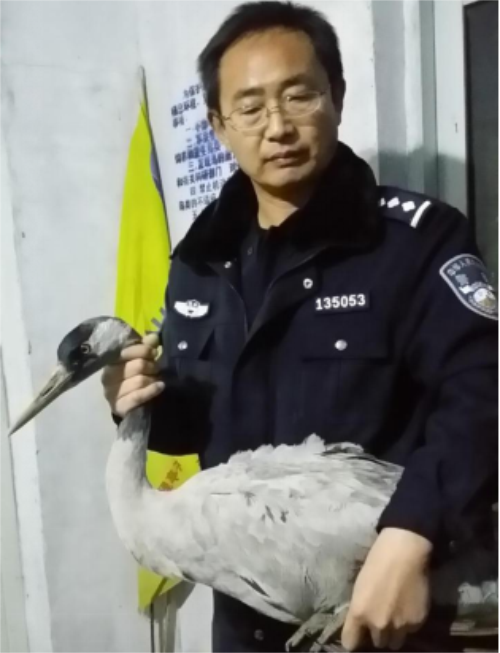 国产福利一区二区三区在线视频-538任你爽精品视频国产-亚洲精品国产乱码不卡-色噜噜国产99性色内射-做A爰片久久毛片A片的价格,湖南野生动物追踪,湖南卫星追踪器,湖南追踪器