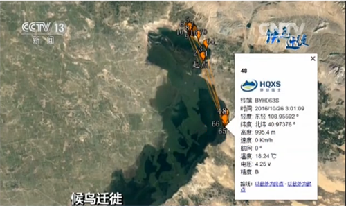 国产福利一区二区三区在线视频-538任你爽精品视频国产-亚洲精品国产乱码不卡-色噜噜国产99性色内射-做A爰片久久毛片A片的价格,湖南野生动物追踪,湖南卫星追踪器,湖南追踪器