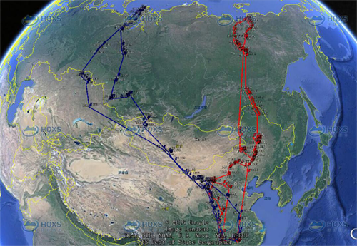 国产福利一区二区三区在线视频-538任你爽精品视频国产-亚洲精品国产乱码不卡-色噜噜国产99性色内射-做A爰片久久毛片A片的价格,湖南野生动物追踪,湖南卫星追踪器,湖南追踪器