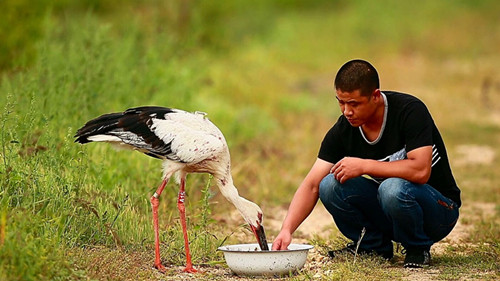 国产福利一区二区三区在线视频-538任你爽精品视频国产-亚洲精品国产乱码不卡-色噜噜国产99性色内射-做A爰片久久毛片A片的价格,湖南野生动物追踪,湖南卫星追踪器,湖南追踪器 国产福利一区二区三区在线视频-538任你爽精品视频国产-亚洲精品国产乱码不卡-色噜噜国产99性色内射-做A爰片久久毛片A片的价格,湖南野生动物追踪,湖南卫星追踪器,湖南追踪器