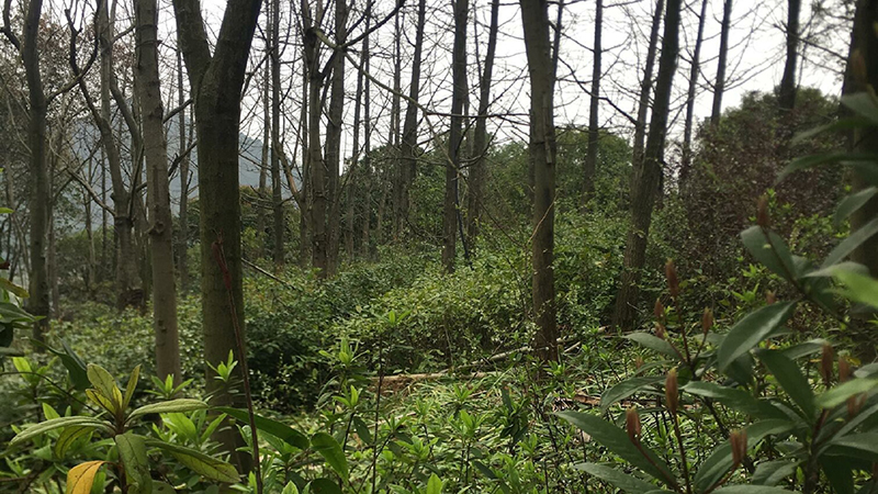 国产福利一区二区三区在线视频-538任你爽精品视频国产-亚洲精品国产乱码不卡-色噜噜国产99性色内射-做A爰片久久毛片A片的价格,湖南野生动物追踪,湖南卫星追踪器,湖南追踪器