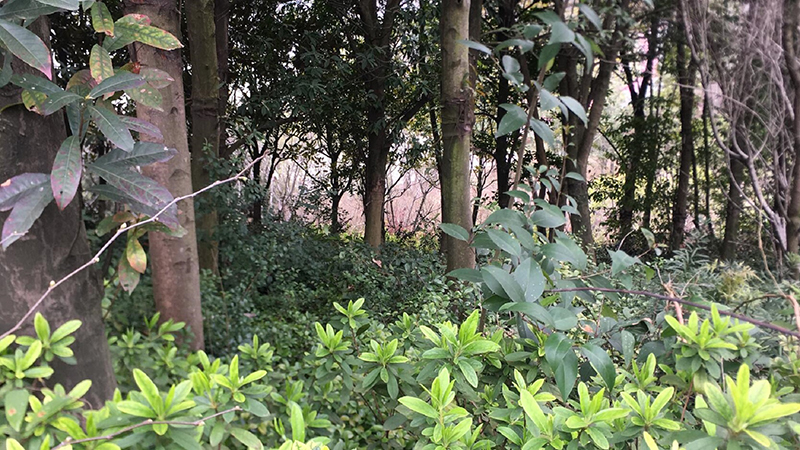 国产福利一区二区三区在线视频-538任你爽精品视频国产-亚洲精品国产乱码不卡-色噜噜国产99性色内射-做A爰片久久毛片A片的价格,湖南野生动物追踪,湖南卫星追踪器,湖南追踪器