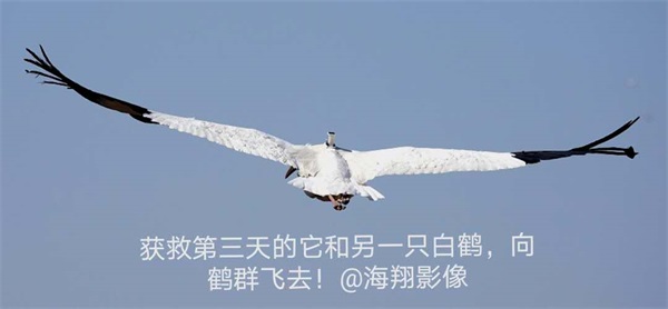 国产福利一区二区三区在线视频-538任你爽精品视频国产-亚洲精品国产乱码不卡-色噜噜国产99性色内射-做A爰片久久毛片A片的价格,湖南野生动物追踪,湖南卫星追踪器,湖南追踪器