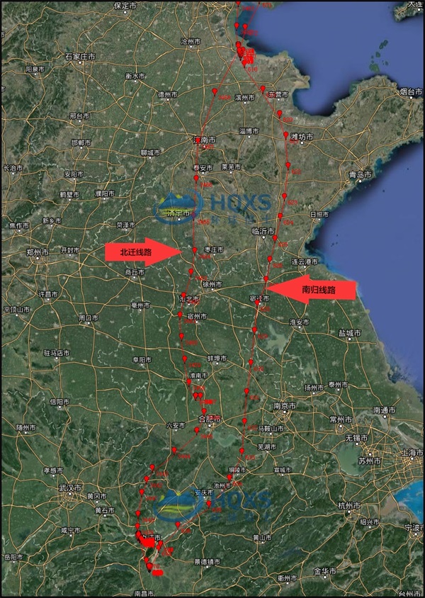 国产福利一区二区三区在线视频-538任你爽精品视频国产-亚洲精品国产乱码不卡-色噜噜国产99性色内射-做A爰片久久毛片A片的价格,湖南野生动物追踪,湖南卫星追踪器,湖南追踪器
