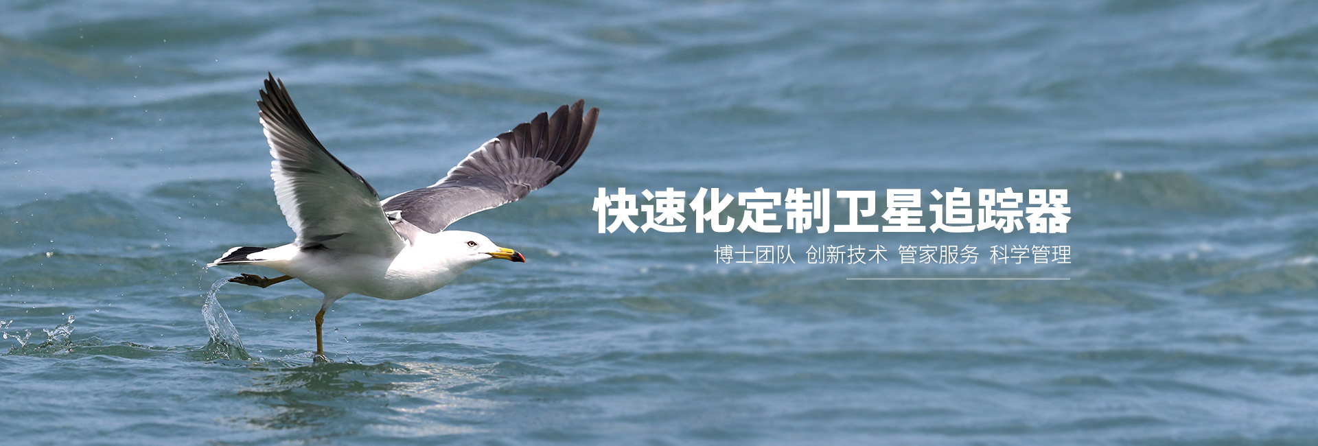 国产福利一区二区三区在线视频-538任你爽精品视频国产-亚洲精品国产乱码不卡-色噜噜国产99性色内射-做A爰片久久毛片A片的价格_湖南野生动物追踪|湖南卫星追踪器