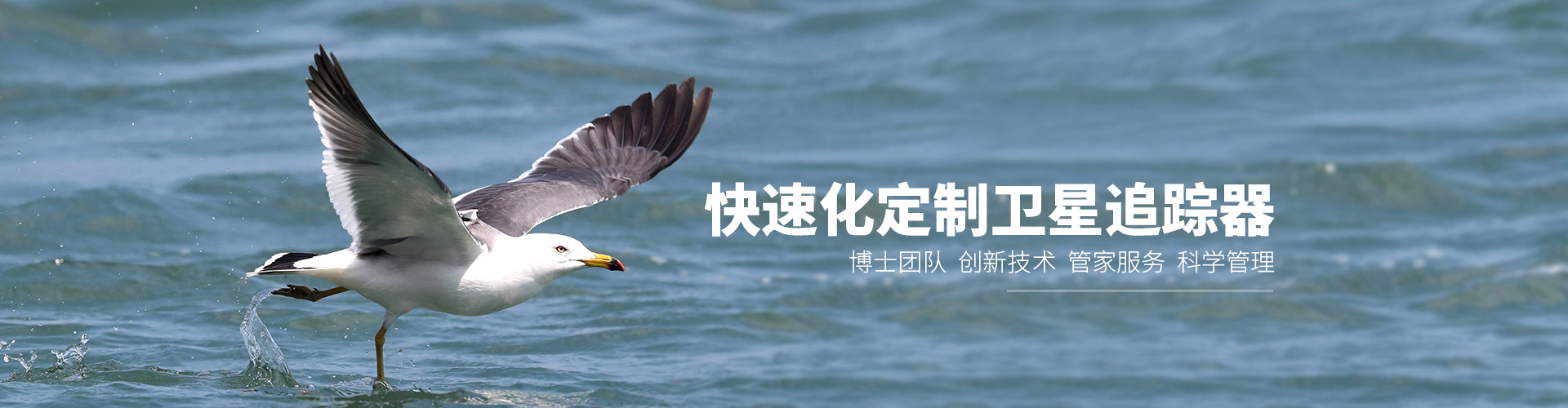 国产福利一区二区三区在线视频-538任你爽精品视频国产-亚洲精品国产乱码不卡-色噜噜国产99性色内射-做A爰片久久毛片A片的价格_湖南野生动物追踪|湖南卫星追踪器 国产福利一区二区三区在线视频-538任你爽精品视频国产-亚洲精品国产乱码不卡-色噜噜国产99性色内射-做A爰片久久毛片A片的价格_湖南野生动物追踪|湖南卫星追踪器