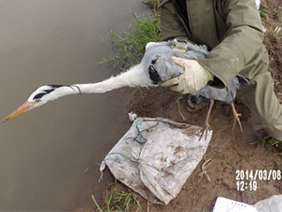 国产福利一区二区三区在线视频-538任你爽精品视频国产-亚洲精品国产乱码不卡-色噜噜国产99性色内射-做A爰片久久毛片A片的价格,湖南野生动物追踪,湖南卫星追踪器,湖南追踪器 国产福利一区二区三区在线视频-538任你爽精品视频国产-亚洲精品国产乱码不卡-色噜噜国产99性色内射-做A爰片久久毛片A片的价格,湖南野生动物追踪,湖南卫星追踪器,湖南追踪器