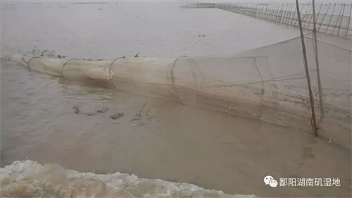 国产福利一区二区三区在线视频-538任你爽精品视频国产-亚洲精品国产乱码不卡-色噜噜国产99性色内射-做A爰片久久毛片A片的价格,湖南野生动物追踪,湖南卫星追踪器,湖南追踪器