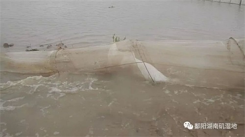 国产福利一区二区三区在线视频-538任你爽精品视频国产-亚洲精品国产乱码不卡-色噜噜国产99性色内射-做A爰片久久毛片A片的价格,湖南野生动物追踪,湖南卫星追踪器,湖南追踪器