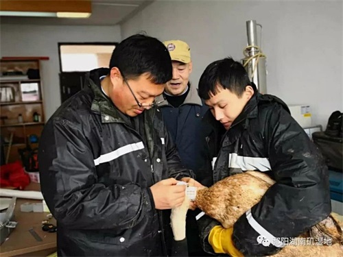 国产福利一区二区三区在线视频-538任你爽精品视频国产-亚洲精品国产乱码不卡-色噜噜国产99性色内射-做A爰片久久毛片A片的价格,湖南野生动物追踪,湖南卫星追踪器,湖南追踪器