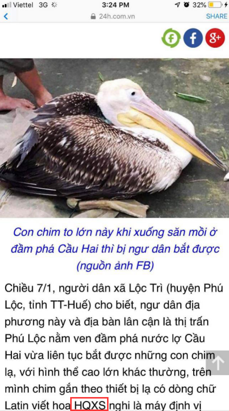 国产福利一区二区三区在线视频-538任你爽精品视频国产-亚洲精品国产乱码不卡-色噜噜国产99性色内射-做A爰片久久毛片A片的价格,湖南野生动物追踪,湖南卫星追踪器,湖南追踪器