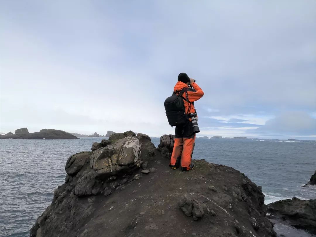 国产福利一区二区三区在线视频-538任你爽精品视频国产-亚洲精品国产乱码不卡-色噜噜国产99性色内射-做A爰片久久毛片A片的价格,湖南野生动物追踪,湖南卫星追踪器,湖南追踪器