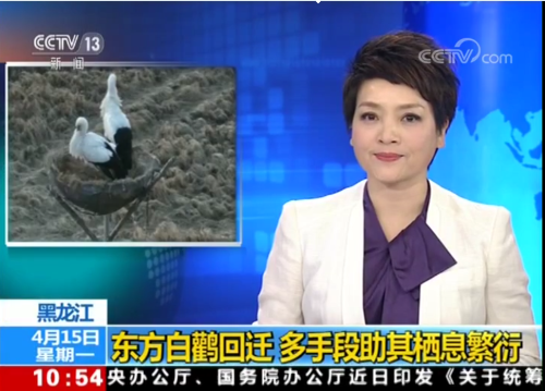 国产福利一区二区三区在线视频-538任你爽精品视频国产-亚洲精品国产乱码不卡-色噜噜国产99性色内射-做A爰片久久毛片A片的价格,湖南野生动物追踪,湖南卫星追踪器,湖南追踪器