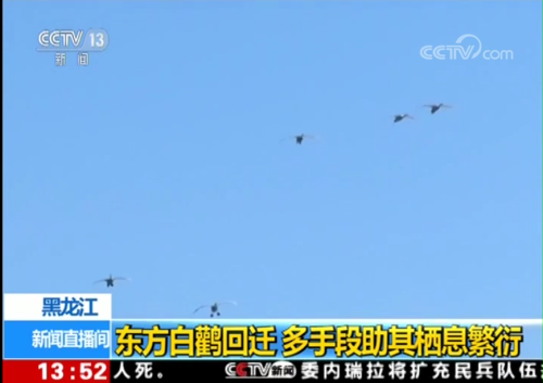 国产福利一区二区三区在线视频-538任你爽精品视频国产-亚洲精品国产乱码不卡-色噜噜国产99性色内射-做A爰片久久毛片A片的价格,湖南野生动物追踪,湖南卫星追踪器,湖南追踪器