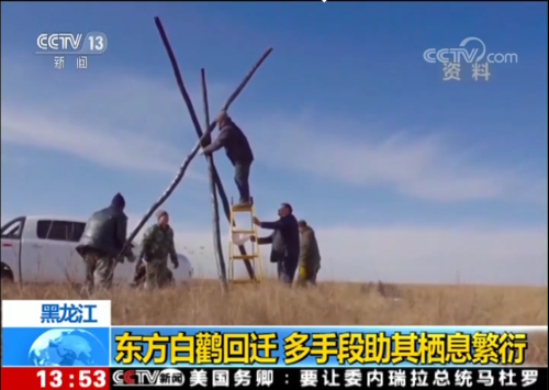 国产福利一区二区三区在线视频-538任你爽精品视频国产-亚洲精品国产乱码不卡-色噜噜国产99性色内射-做A爰片久久毛片A片的价格,湖南野生动物追踪,湖南卫星追踪器,湖南追踪器