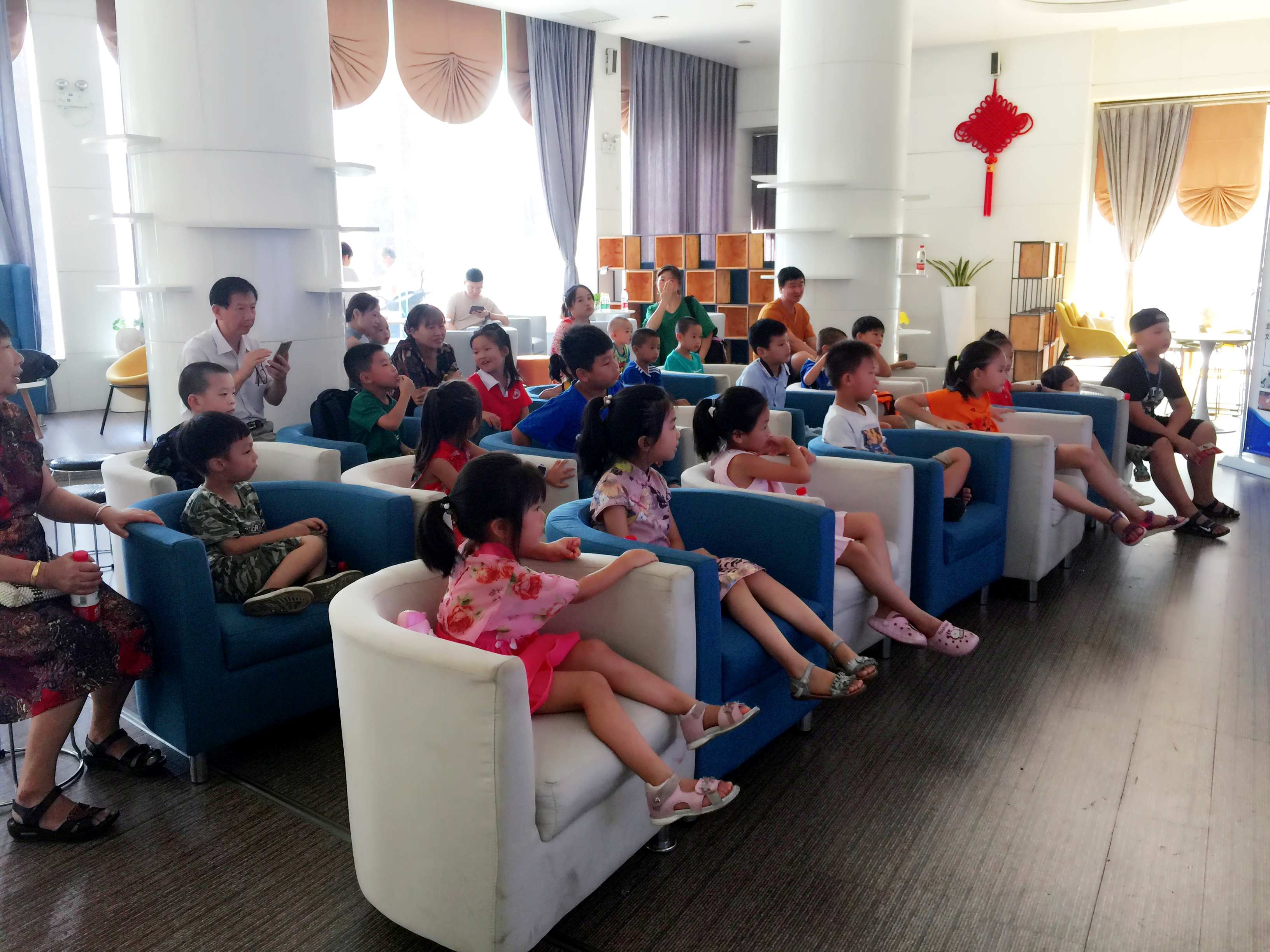 攸县兴林油茶,油茶苗,油茶果,轻基质杯苗,裸根苗,油茶苗价格,油茶苗批发,油茶苗基地