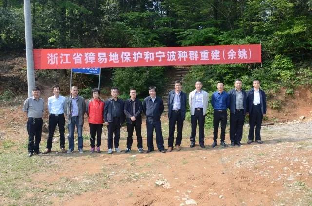 攸县兴林油茶,油茶苗,油茶果,轻基质杯苗,裸根苗,油茶苗价格,油茶苗批发,油茶苗基地