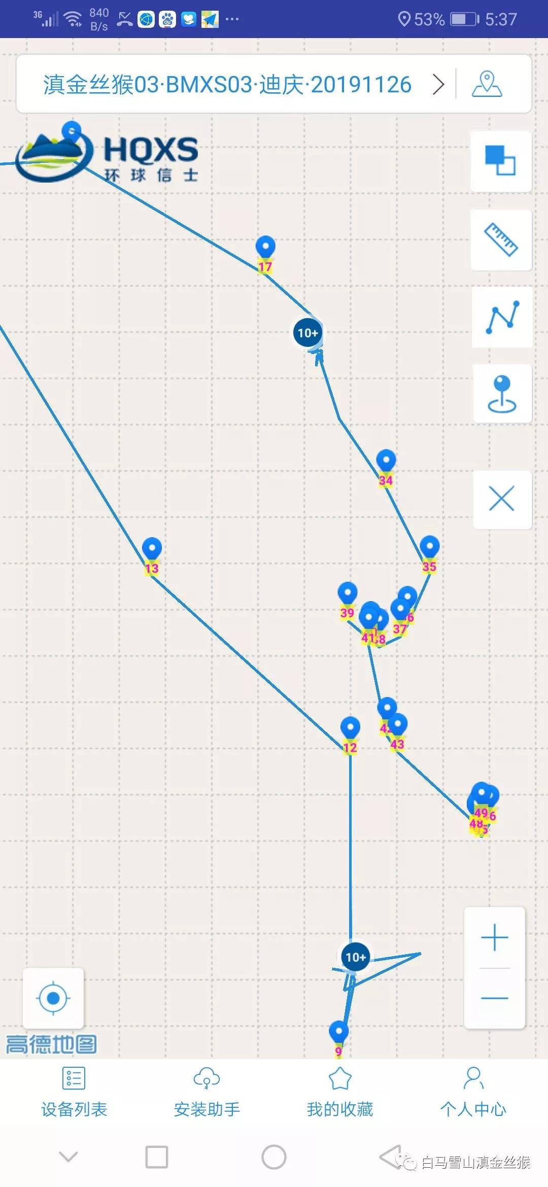 攸县兴林油茶,油茶苗,油茶果,轻基质杯苗,裸根苗,油茶苗价格,油茶苗批发,油茶苗基地