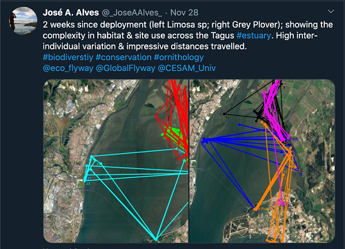 国产福利一区二区三区在线视频-538任你爽精品视频国产-亚洲精品国产乱码不卡-色噜噜国产99性色内射-做A爰片久久毛片A片的价格,湖南野生动物追踪,湖南卫星追踪器,湖南追踪器