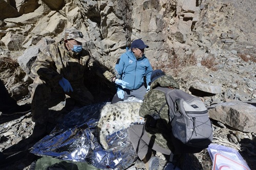 国产福利一区二区三区在线视频-538任你爽精品视频国产-亚洲精品国产乱码不卡-色噜噜国产99性色内射-做A爰片久久毛片A片的价格,湖南野生动物追踪,湖南卫星追踪器,湖南追踪器