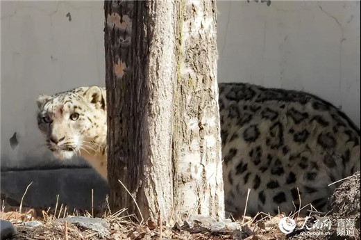 国产福利一区二区三区在线视频-538任你爽精品视频国产-亚洲精品国产乱码不卡-色噜噜国产99性色内射-做A爰片久久毛片A片的价格,湖南野生动物追踪,湖南卫星追踪器,湖南追踪器