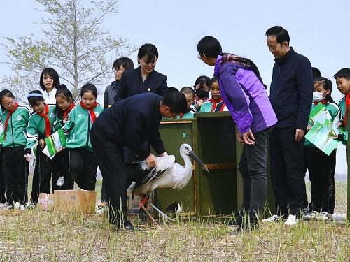 国产福利一区二区三区在线视频-538任你爽精品视频国产-亚洲精品国产乱码不卡-色噜噜国产99性色内射-做A爰片久久毛片A片的价格,湖南野生动物追踪,湖南卫星追踪器,湖南追踪器