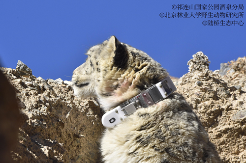 国产福利一区二区三区在线视频