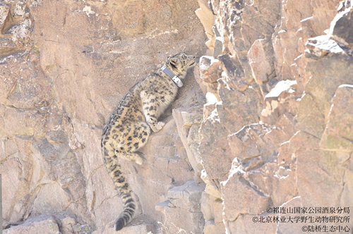 国产福利一区二区三区在线视频