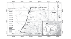国产福利一区二区三区在线视频-538任你爽精品视频国产-亚洲精品国产乱码不卡-色噜噜国产99性色内射-做A爰片久久毛片A片的价格,湖南野生动物追踪,湖南卫星追踪器,湖南追踪器