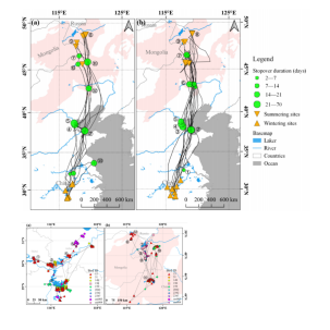 国产福利一区二区三区在线视频-538任你爽精品视频国产-亚洲精品国产乱码不卡-色噜噜国产99性色内射-做A爰片久久毛片A片的价格,湖南野生动物追踪,湖南卫星追踪器,湖南追踪器