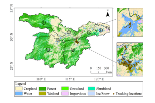 国产福利一区二区三区在线视频-538任你爽精品视频国产-亚洲精品国产乱码不卡-色噜噜国产99性色内射-做A爰片久久毛片A片的价格,湖南野生动物追踪,湖南卫星追踪器,湖南追踪器