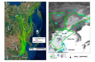 国产福利一区二区三区在线视频-538任你爽精品视频国产-亚洲精品国产乱码不卡-色噜噜国产99性色内射-做A爰片久久毛片A片的价格,湖南野生动物追踪,湖南卫星追踪器,湖南追踪器