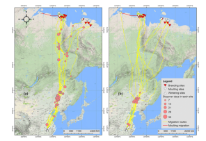 国产福利一区二区三区在线视频-538任你爽精品视频国产-亚洲精品国产乱码不卡-色噜噜国产99性色内射-做A爰片久久毛片A片的价格,湖南野生动物追踪,湖南卫星追踪器,湖南追踪器