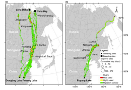 国产福利一区二区三区在线视频-538任你爽精品视频国产-亚洲精品国产乱码不卡-色噜噜国产99性色内射-做A爰片久久毛片A片的价格,湖南野生动物追踪,湖南卫星追踪器,湖南追踪器