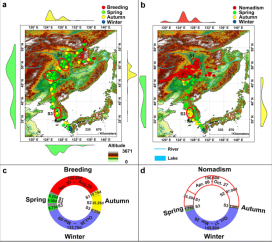 国产福利一区二区三区在线视频-538任你爽精品视频国产-亚洲精品国产乱码不卡-色噜噜国产99性色内射-做A爰片久久毛片A片的价格,湖南野生动物追踪,湖南卫星追踪器,湖南追踪器