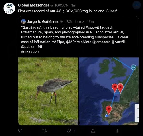 国产福利一区二区三区在线视频-538任你爽精品视频国产-亚洲精品国产乱码不卡-色噜噜国产99性色内射-做A爰片久久毛片A片的价格,湖南野生动物追踪,湖南卫星追踪器,湖南追踪器