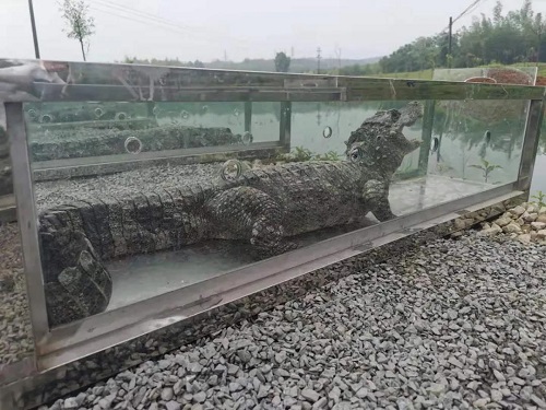 国产福利一区二区三区在线视频-538任你爽精品视频国产-亚洲精品国产乱码不卡-色噜噜国产99性色内射-做A爰片久久毛片A片的价格,湖南野生动物追踪,湖南卫星追踪器,湖南追踪器