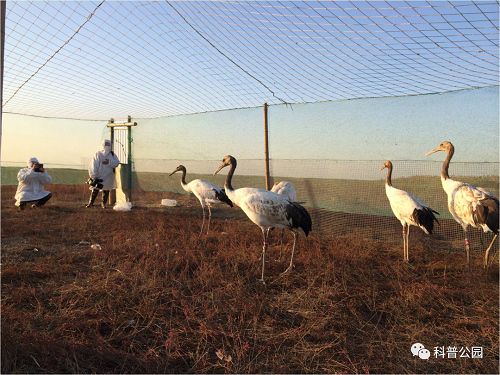 国产福利一区二区三区在线视频-538任你爽精品视频国产-亚洲精品国产乱码不卡-色噜噜国产99性色内射-做A爰片久久毛片A片的价格,湖南野生动物追踪,湖南卫星追踪器,湖南追踪器