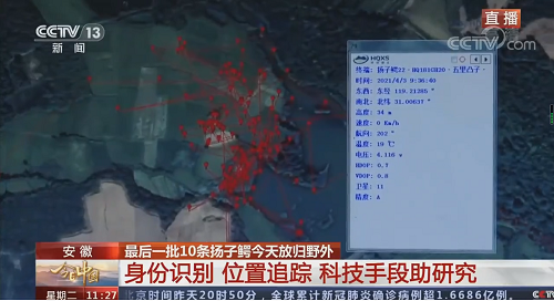 国产福利一区二区三区在线视频-538任你爽精品视频国产-亚洲精品国产乱码不卡-色噜噜国产99性色内射-做A爰片久久毛片A片的价格,湖南野生动物追踪,湖南卫星追踪器,湖南追踪器