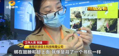 国产福利一区二区三区在线视频-538任你爽精品视频国产-亚洲精品国产乱码不卡-色噜噜国产99性色内射-做A爰片久久毛片A片的价格,湖南野生动物追踪,湖南卫星追踪器,湖南追踪器