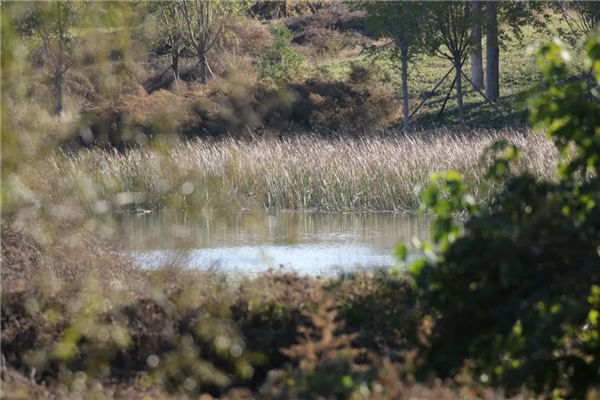 国产福利一区二区三区在线视频-538任你爽精品视频国产-亚洲精品国产乱码不卡-色噜噜国产99性色内射-做A爰片久久毛片A片的价格,湖南野生动物追踪,湖南卫星追踪器,湖南追踪器