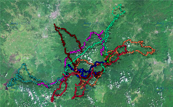 国产福利一区二区三区在线视频-538任你爽精品视频国产-亚洲精品国产乱码不卡-色噜噜国产99性色内射-做A爰片久久毛片A片的价格,湖南野生动物追踪,湖南卫星追踪器,湖南追踪器