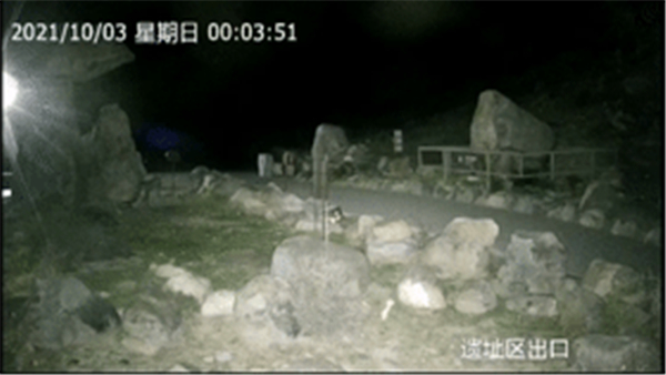 国产福利一区二区三区在线视频-538任你爽精品视频国产-亚洲精品国产乱码不卡-色噜噜国产99性色内射-做A爰片久久毛片A片的价格,湖南野生动物追踪,湖南卫星追踪器,湖南追踪器