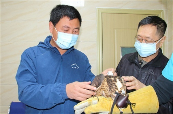 国产福利一区二区三区在线视频-538任你爽精品视频国产-亚洲精品国产乱码不卡-色噜噜国产99性色内射-做A爰片久久毛片A片的价格,湖南野生动物追踪,湖南卫星追踪器,湖南追踪器