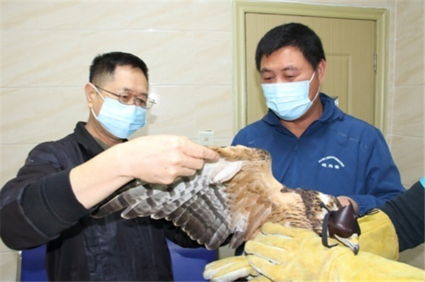 国产福利一区二区三区在线视频-538任你爽精品视频国产-亚洲精品国产乱码不卡-色噜噜国产99性色内射-做A爰片久久毛片A片的价格,湖南野生动物追踪,湖南卫星追踪器,湖南追踪器